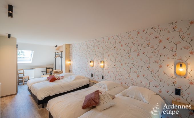 Vakantiewoning met moderne voorzieningen in Somme-Leuze, Ardennen