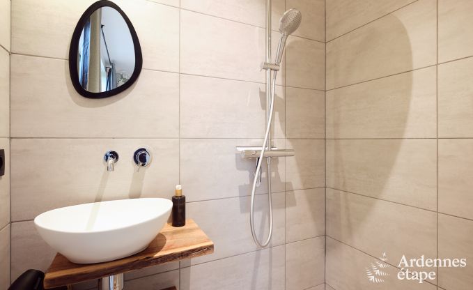 Comfortabel en luxueus nieuwbouw vakantiehuis in Somme-Leuze, Ardennen