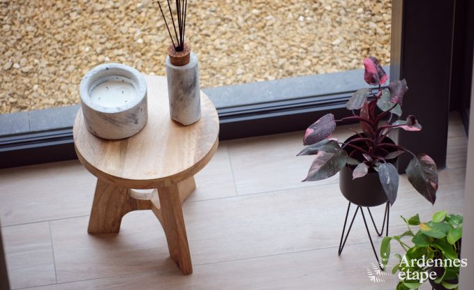 Comfortabel en luxueus nieuwbouw vakantiehuis in Somme-Leuze, Ardennen