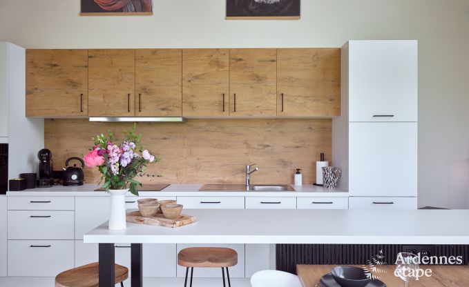 Comfortabel en luxueus nieuwbouw vakantiehuis in Somme-Leuze, Ardennen