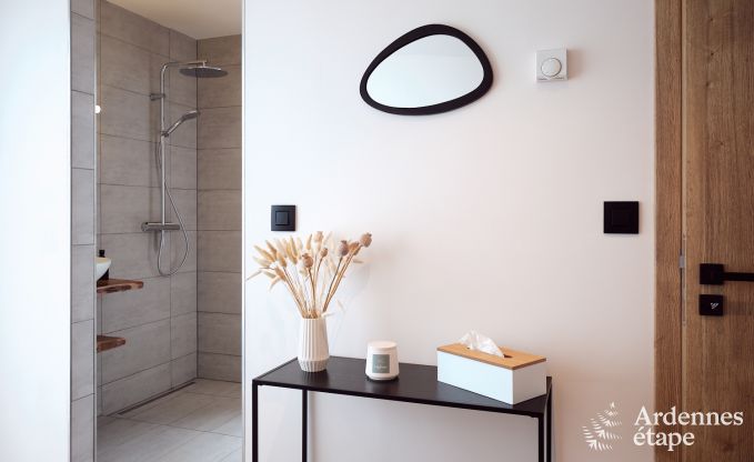 Comfortabel en luxueus nieuwbouw vakantiehuis in Somme-Leuze, Ardennen