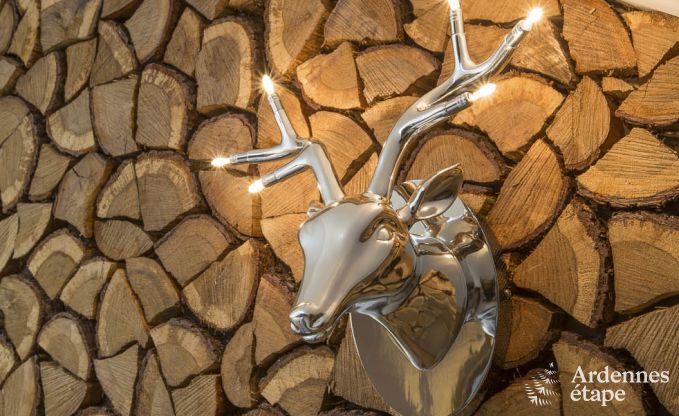 Vakantiehuis in Somme-Leuze voor 4/6 personen in de Ardennen