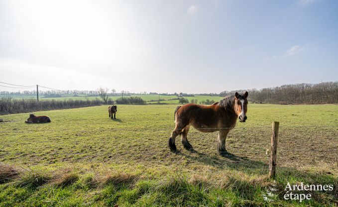Modern en comfortabel vakantiehuis in Somme-Leuze, Ardennen