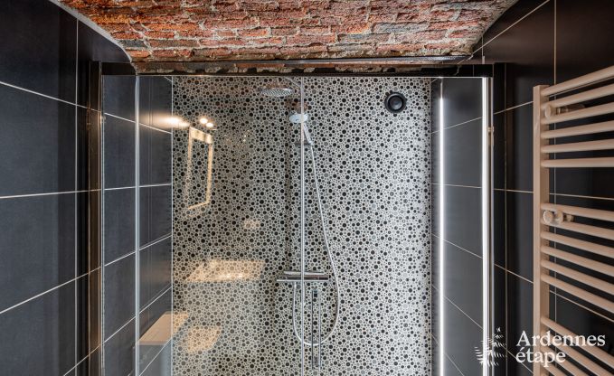 Modern en comfortabel vakantiehuis in Somme-Leuze, Ardennen