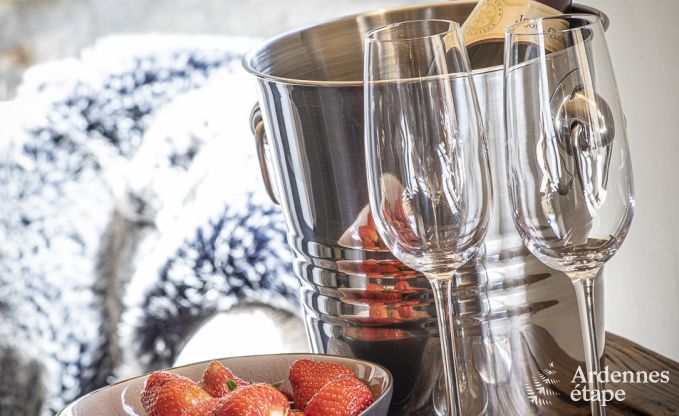 Vakantiehuis in Somme-Leuze voor 9 personen in de Ardennen