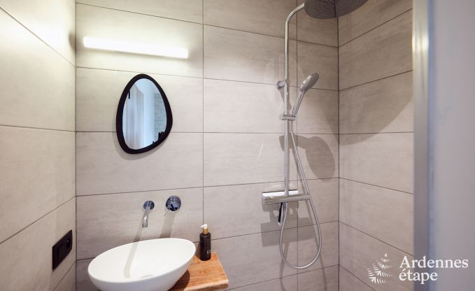 Comfortabel en luxueus nieuwbouw vakantiehuis in Somme-Leuze, Ardennen