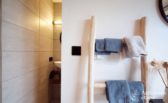 Comfortabel en luxueus nieuwbouw vakantiehuis in Somme-Leuze, Ardennen