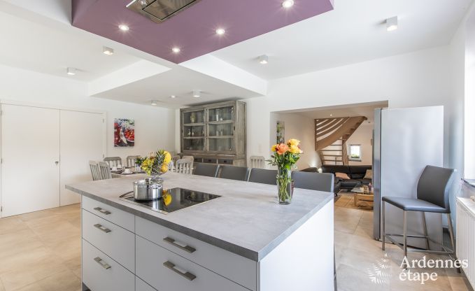 Vakantiehuis in Somme-Leuze voor 12 personen in de Ardennen