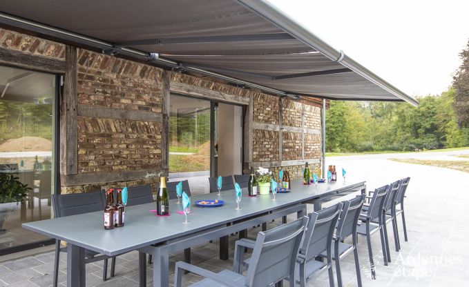 Vakantiehuis in Somme-Leuze voor 12 personen in de Ardennen