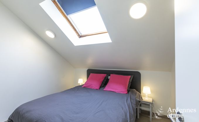 Vakantiehuis in Somme-Leuze voor 12 personen in de Ardennen