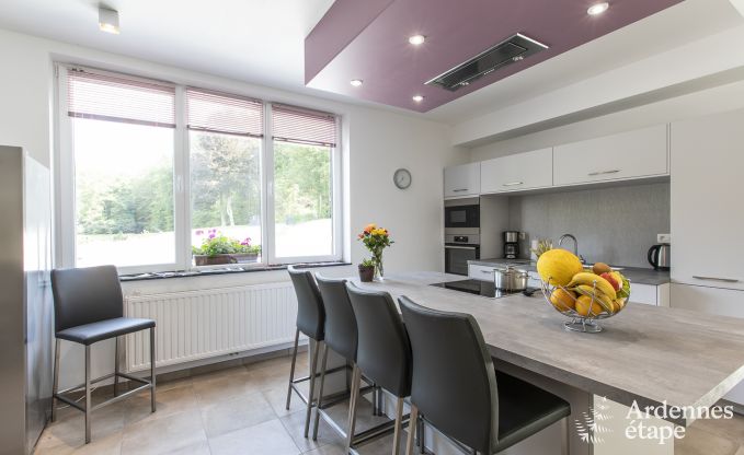 Vakantiehuis in Somme-Leuze voor 12 personen in de Ardennen