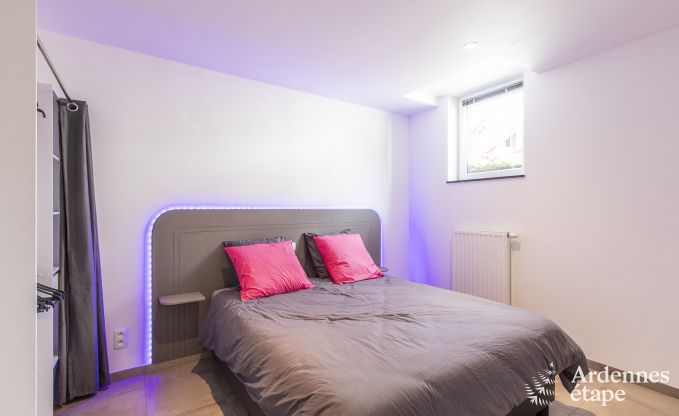 Vakantiehuis in Somme-Leuze voor 12 personen in de Ardennen