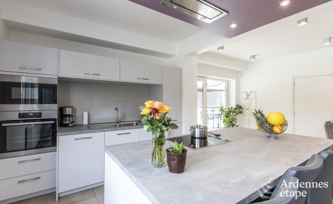 Vakantiehuis in Somme-Leuze voor 12 personen in de Ardennen