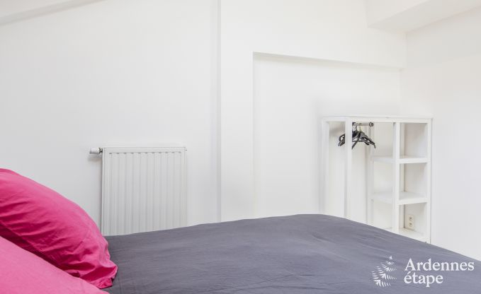 Vakantiehuis in Somme-Leuze voor 12 personen in de Ardennen