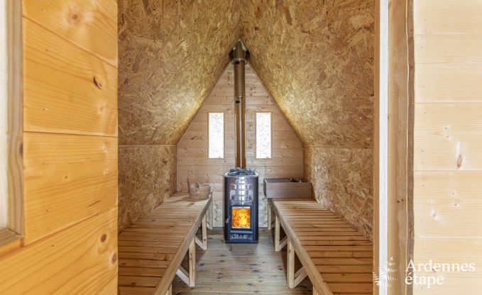 Vakantiehuis in Somme-Leuze voor 12 personen in de Ardennen