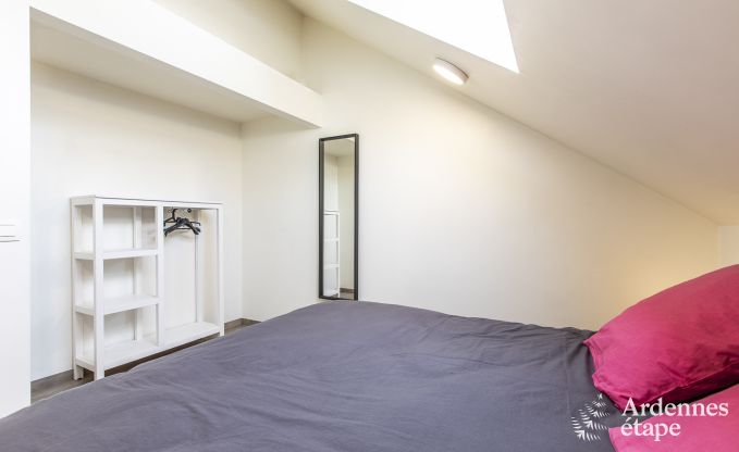 Vakantiehuis in Somme-Leuze voor 12 personen in de Ardennen