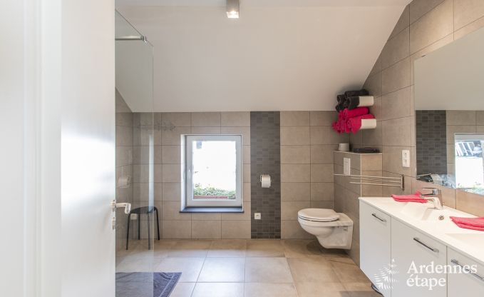 Vakantiehuis in Somme-Leuze voor 12 personen in de Ardennen