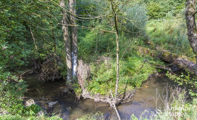 Vakantiehuis in Somme-Leuze voor 12 personen in de Ardennen