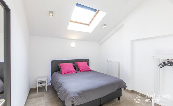 Vakantiehuis in Somme-Leuze voor 12 personen in de Ardennen