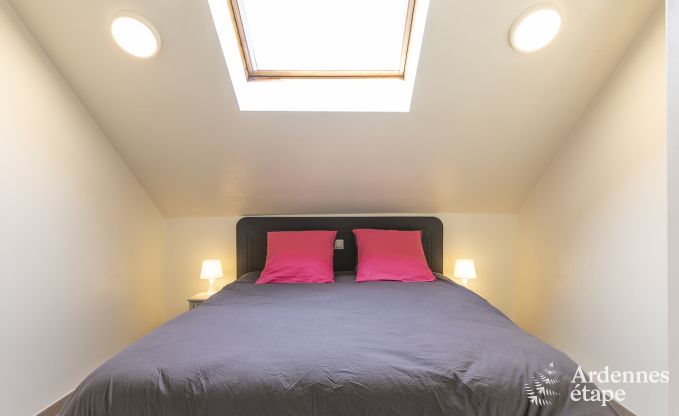 Vakantiehuis in Somme-Leuze voor 12 personen in de Ardennen