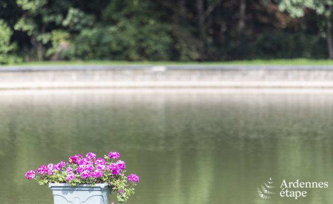 Vakantiehuis in Somme-Leuze voor 12 personen in de Ardennen