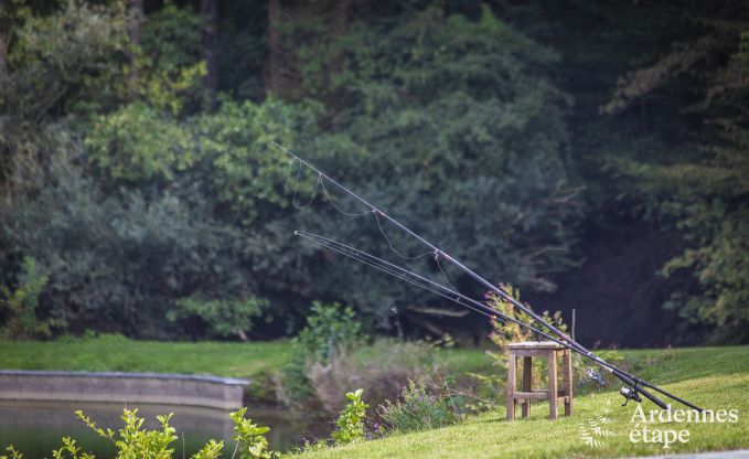 Vakantiehuis in Somme-Leuze voor 12 personen in de Ardennen