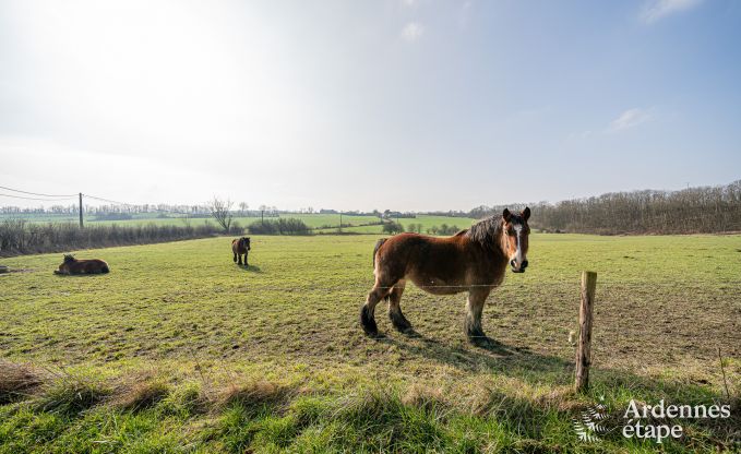 Ruim en comfortabel vakantiehuis in Somme-Leuze, dichtbij Durbuy