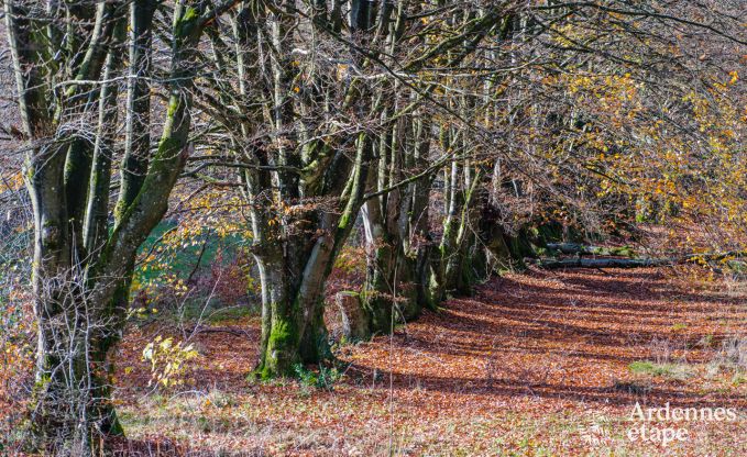 Vakantiewoning in Sourbrodt voor 2/4 personen in de Ardennen