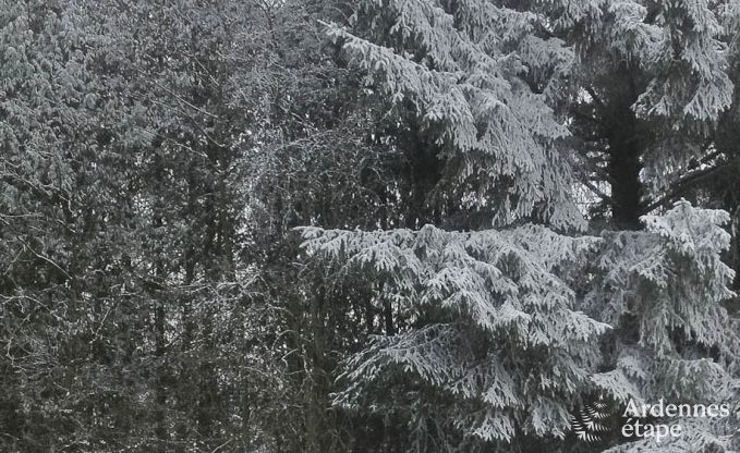 Chalet in Spa (Nivez�) voor 9 personen in de Ardennen