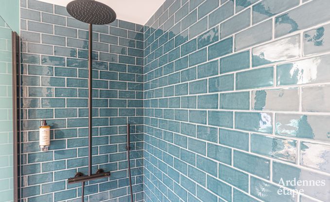 Luxe villa in Spa voor 18 personen in de Ardennen