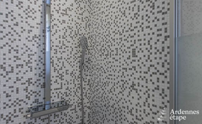 Luxe villa in Spa voor 13/14 personen in de Ardennen