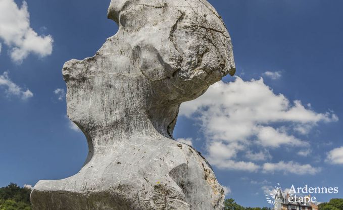 Luxe villa in Spa voor 13/14 personen in de Ardennen