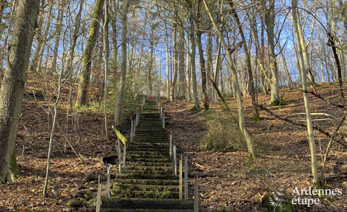 Buitengewoon in Spa voor 24 personen in de Ardennen