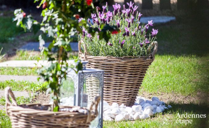 Vakantiehuis in Spa voor 2/3 personen in de Ardennen