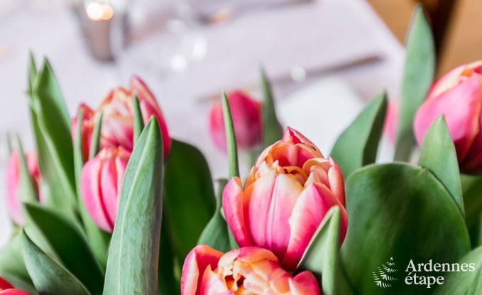 Vakantiehuis in Spa voor 9 personen in de Ardennen