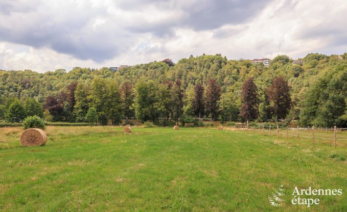 Vakantiehuis in Spa voor 9/11 personen in de Ardennen