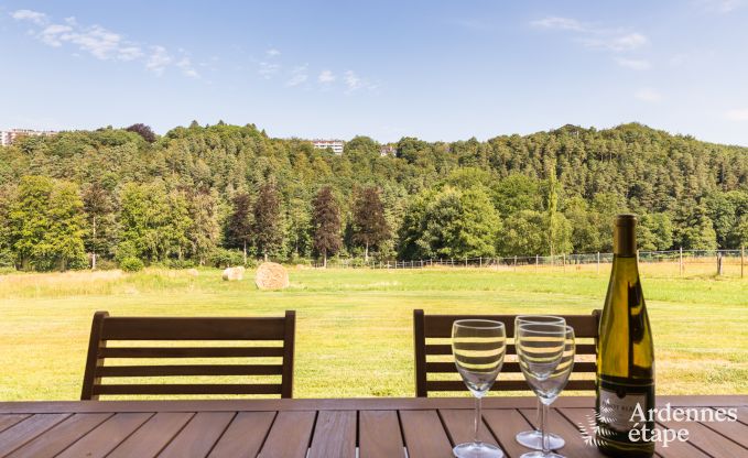 Vakantiehuis in Spa voor 9/11 personen in de Ardennen