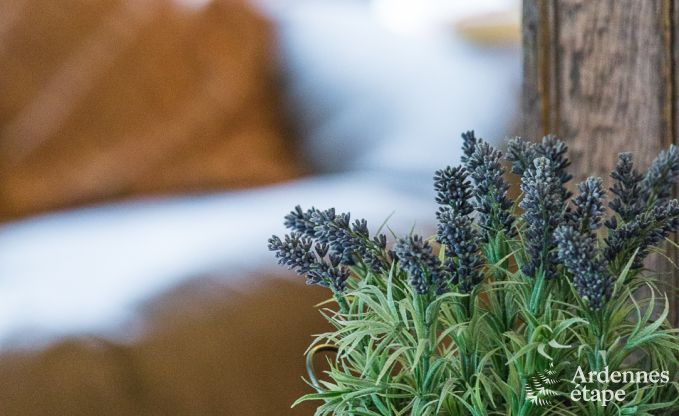 Vakantiehuis in Spa voor 20 personen in de Ardennen