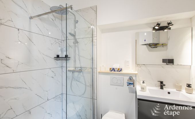 Vakantiehuis in Spa voor 12 personen in de Ardennen