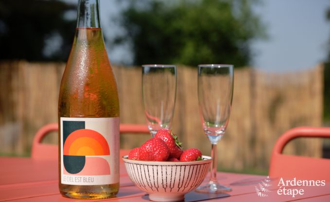 Tiny house met houtkachel en priv�tuin in Sprimont, Hoge Venen