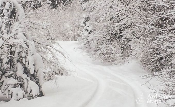 Vakantiehuis in St Vith voor 20 personen in de Ardennen