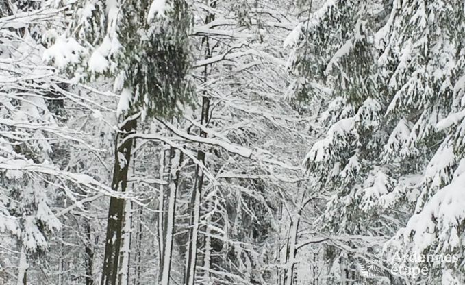 Vakantiehuis in St Vith voor 20 personen in de Ardennen