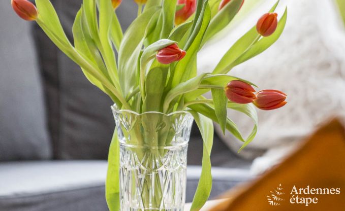 Vakantiehuis in St Vith voor 20 personen in de Ardennen