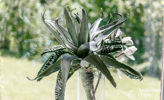 Luxe kasteel in Stavelot voor 8 met zwembad en tuin in de Hoge Venen