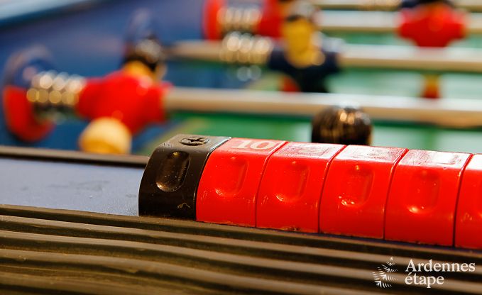 Luxekasteel in de Ardennen voor 28 personen in Stavelot met sauna, jacuzzi en speeltuin