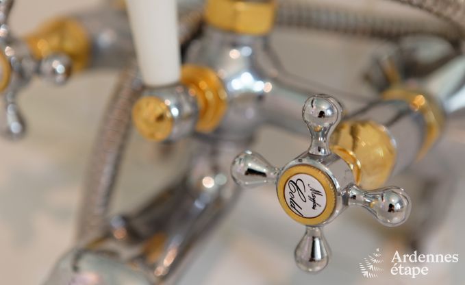 Luxekasteel in de Ardennen voor 28 personen in Stavelot met sauna, jacuzzi en speeltuin