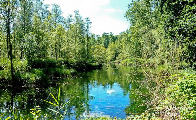 Vakantiehuis in Stavelot voor 5 personen in de Ardennen