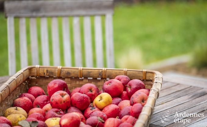 Vakantiehuis in Stoumont voor 6 personen in de Ardennen
