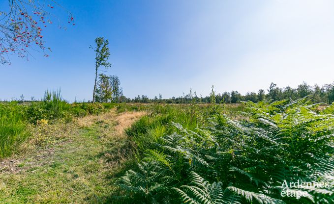 Huis te huur voor 6 personen in Stoumont, Ardennen, 3 slaapkamers, priv� tuin, terras met barbecue, optimaal comfort