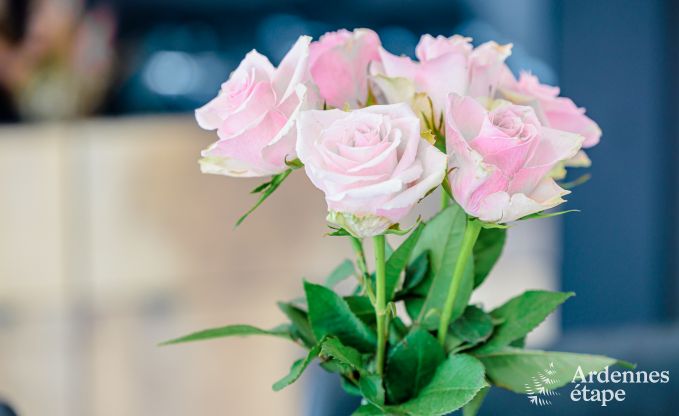 Buitengewoon in Tellin voor 2/3 personen in de Ardennen